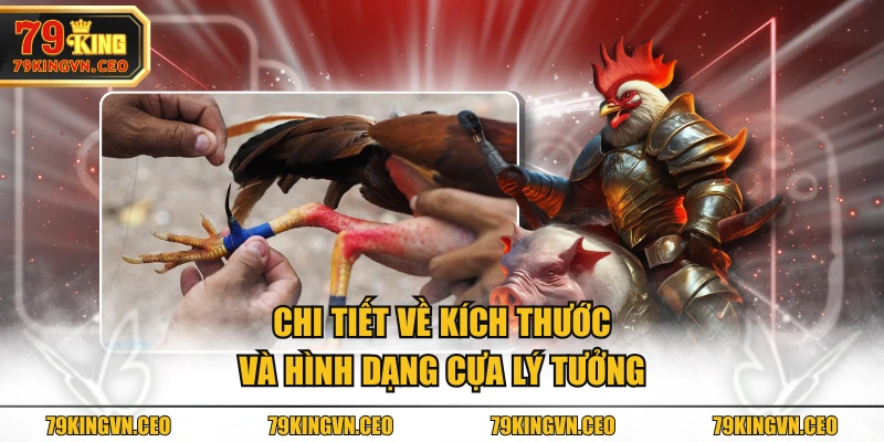 Chi tiết về kích thước và hình dạng cựa lý tưởng