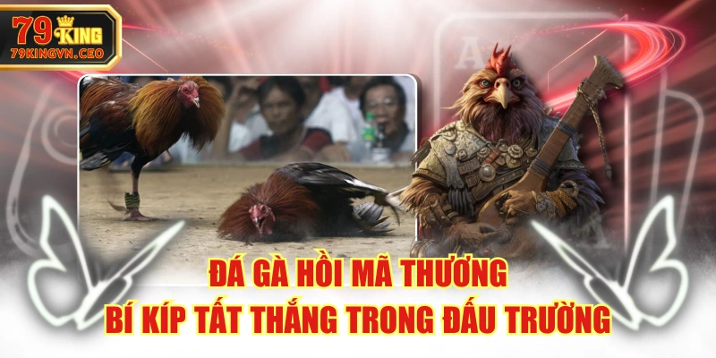 Đá Gà Hồi Mã Thương - Bí Kíp Tất Thắng Trong Đấu Trường