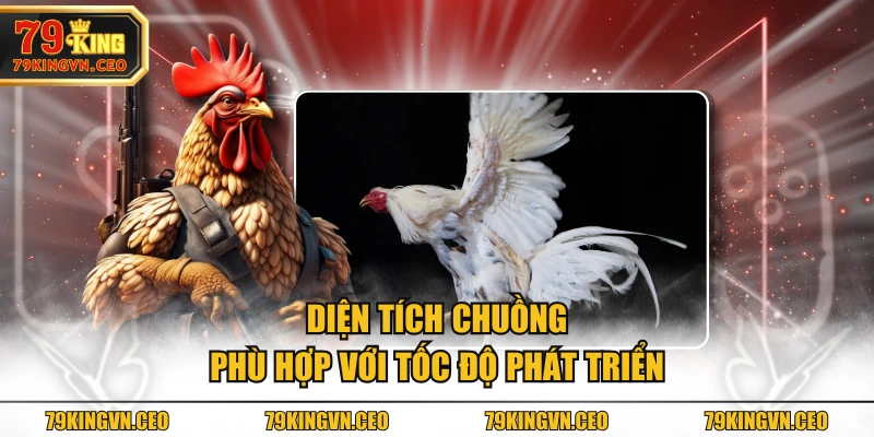 Diện tích chuồng phù hợp với tốc độ phát triển