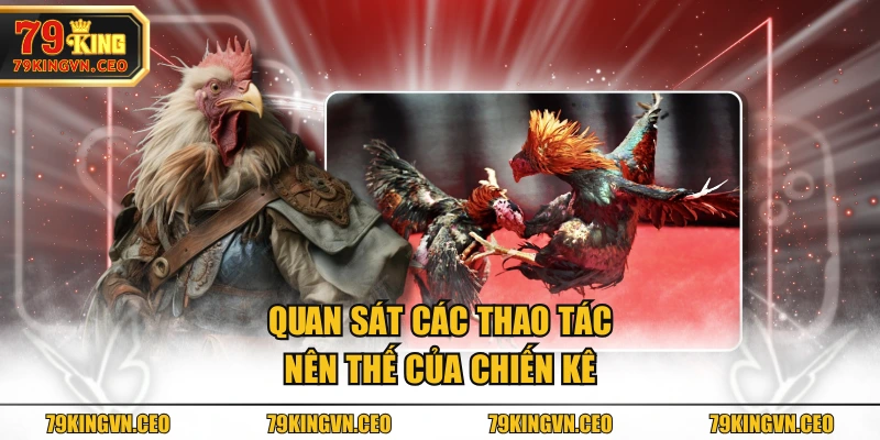 Quan sát các thao tác nên thế của chiến kê