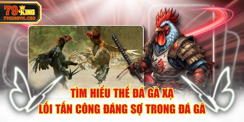 Tìm Hiểu Thế Đá Gà Xạ - Lối Tấn Công Đáng Sợ Trong Đá Gà