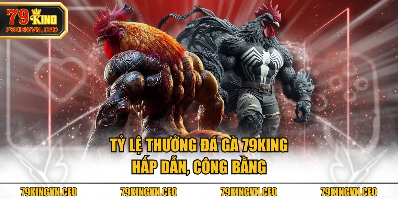 Tỷ lệ thưởng Đá Gà 79KING hấp dẫn, công bằng